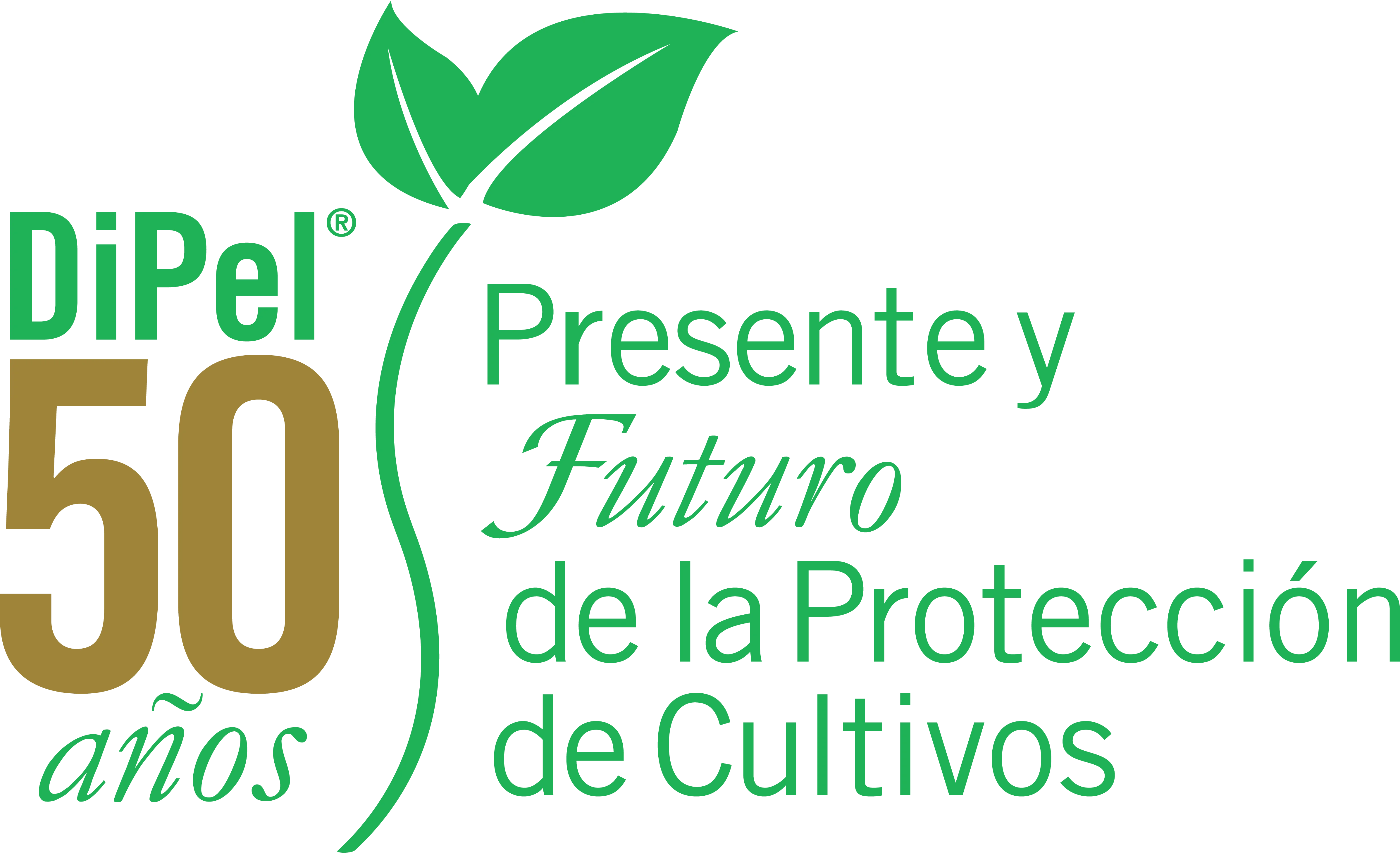 50 años dipel
