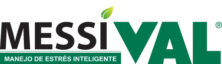 Logo Messival