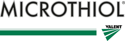 Logo Microthiol