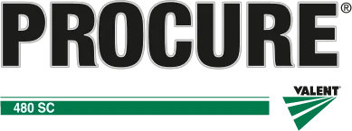 Logo Procure