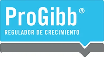 Logo Progibb