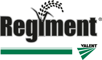 Logo Regiment