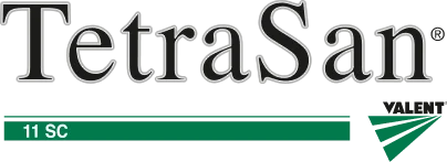 Logo TetraSan