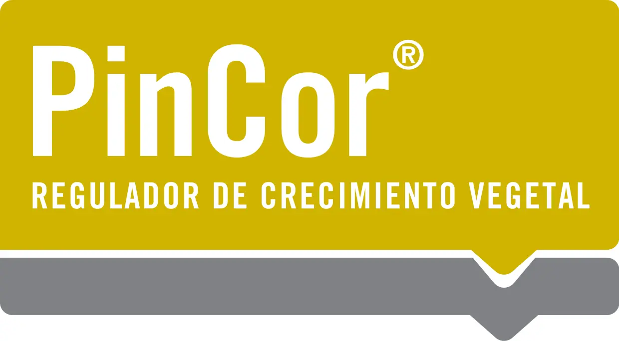 Logo PinCor